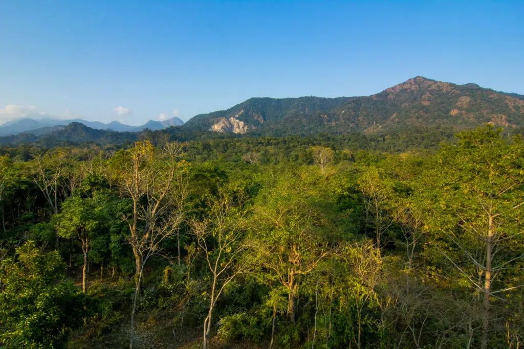 BUXA TIGER RESERVE